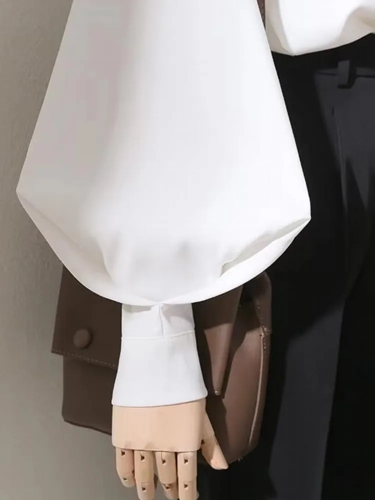 Blouses Shirt Lady Long Lantern Sleeve Stand Collar