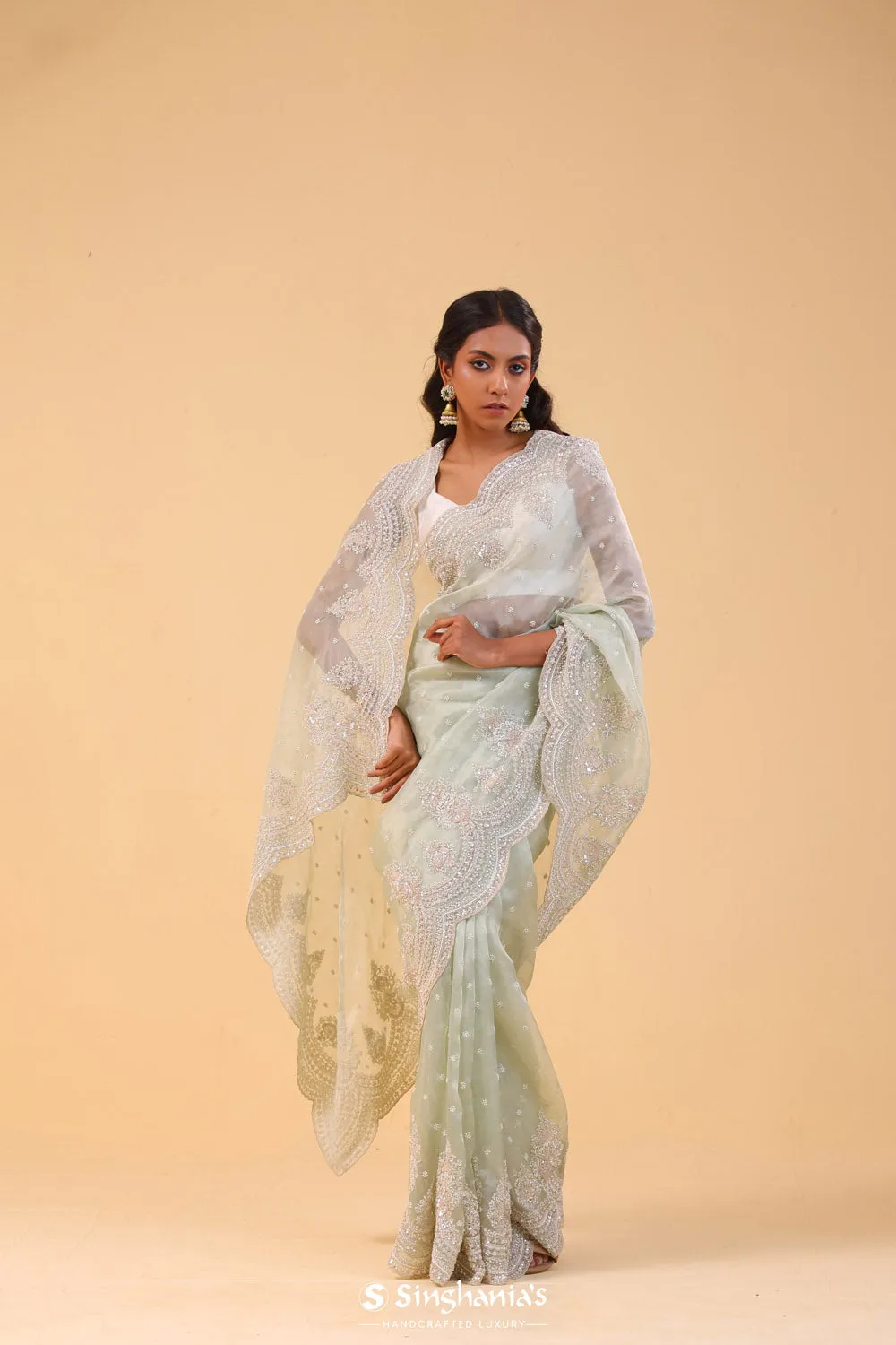 Seafoam Green Tissue Handcrafted Saree