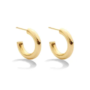 The Perfect Hoop Earrings