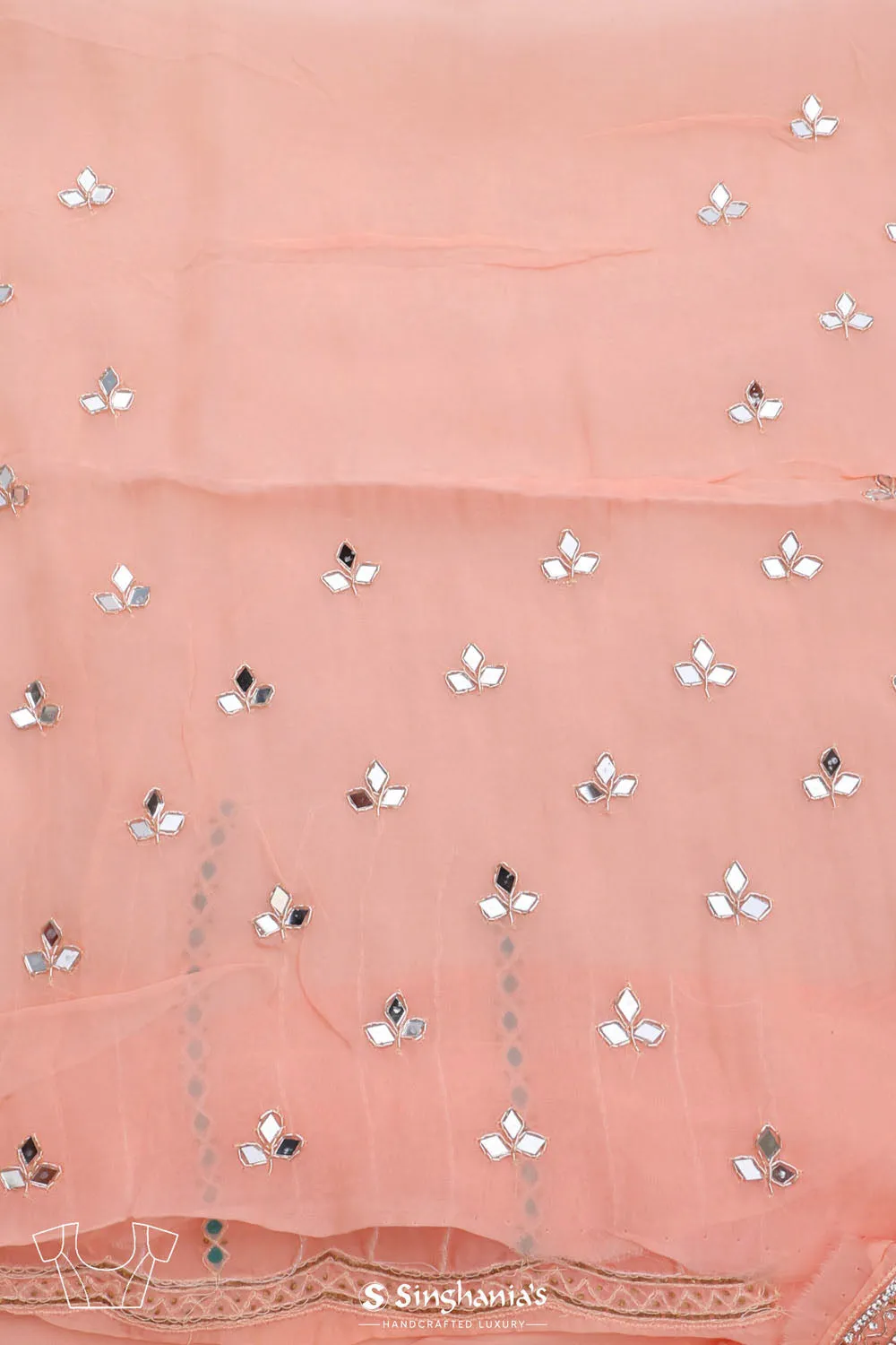 Tropical Peach Tissue Saree With Embroidery Detail